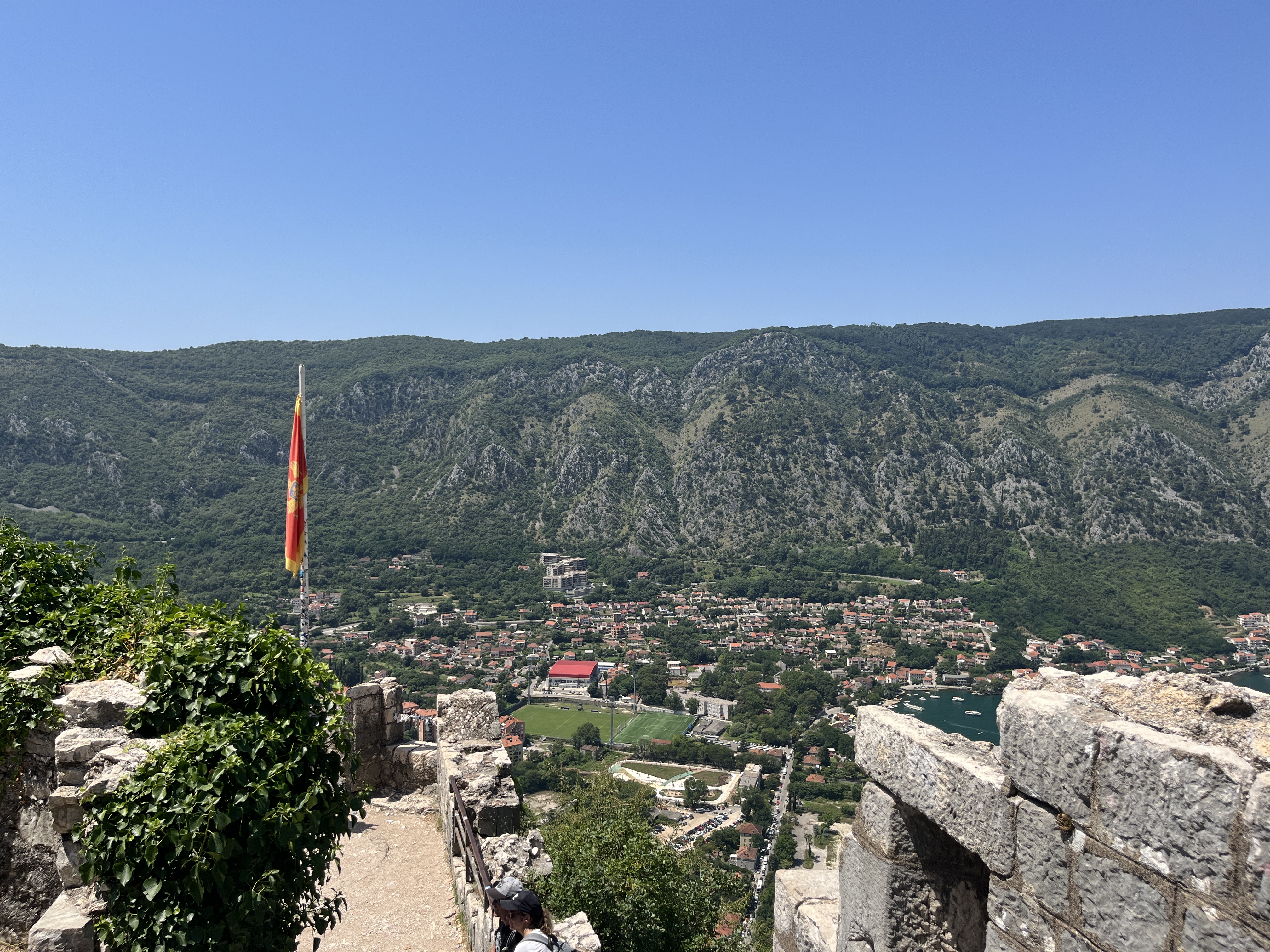 IMG_7554.jpg
